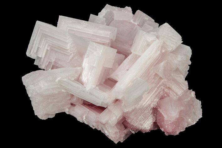 Pink Halite Crystal Cluster - Trona, California #239563